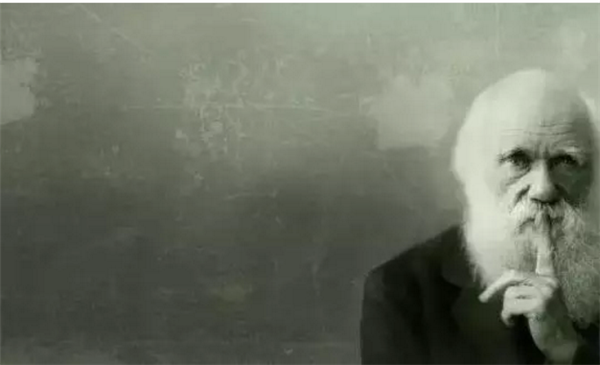 QQ½ØÍ¼20190328193729.png QQ½ØÍ¼20190328193729.png