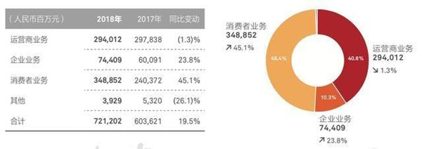 华为2018年报 华为2018年报