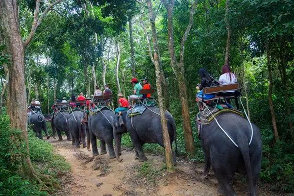 ÆïÏóÈ˺ʹóÏó.jpg ÆïÏóÈ˺ʹóÏó.jpg