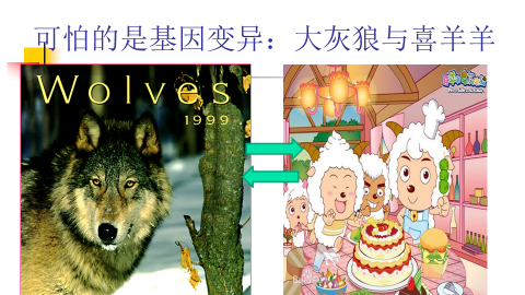 68f8aad66c09a253dc83f08ea3285e56.png 68f8aad66c09a253dc83f08ea3285e56.png