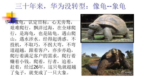 9d2d0b9f238a5d2ce72ad685ae432b22.png 9d2d0b9f238a5d2ce72ad685ae432b22.png